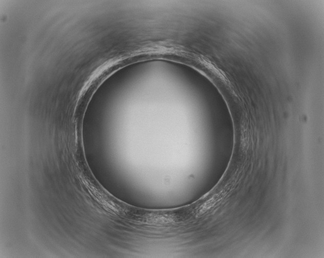 X0000059081270200510211533