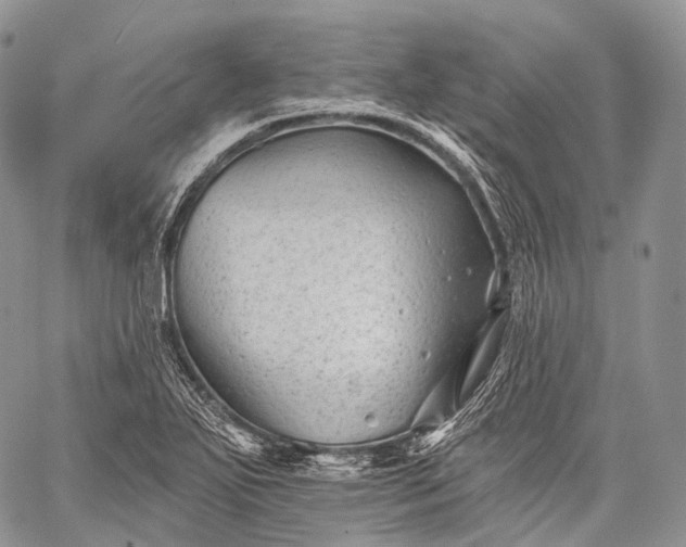 X0000059081271200510211533