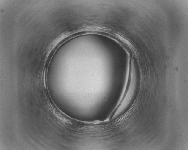 X0000059081272200510211533