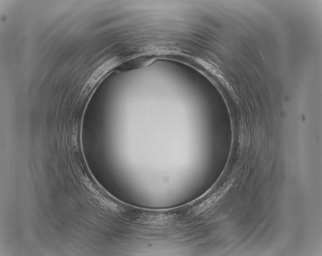 X0000059081273200510211533