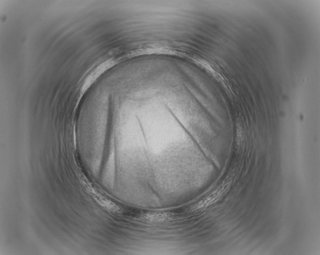 X0000059081274200510211533