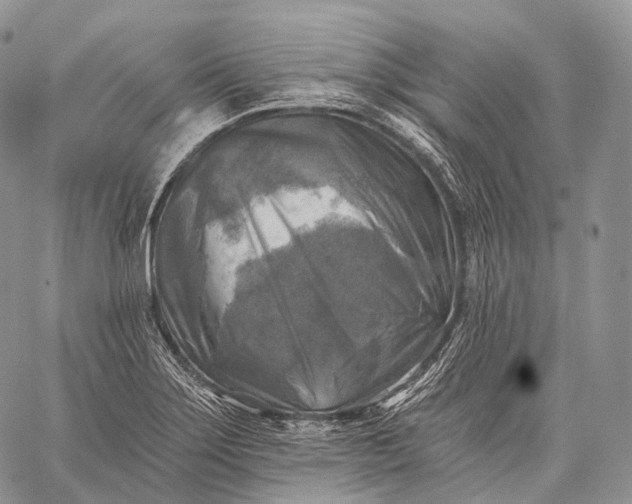 X0000059081275200510211533