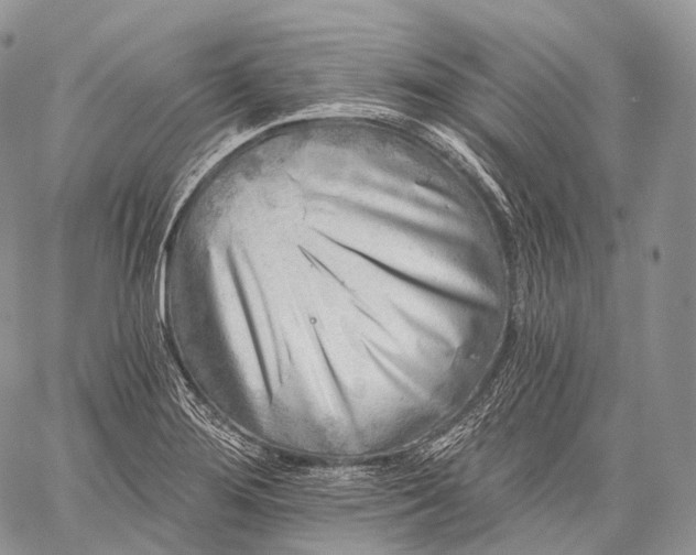 X0000059081276200510211533