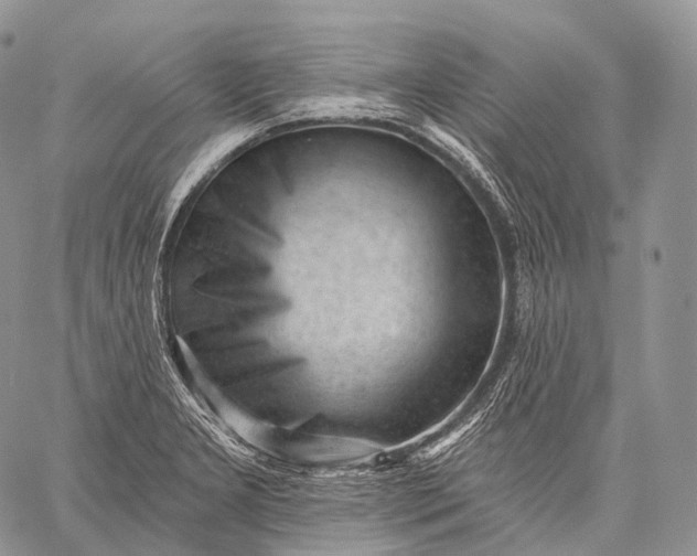 X0000059081277200510211533