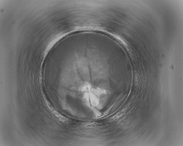 X0000059081279200510211533