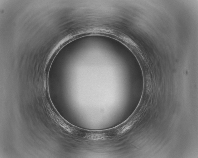 X0000059081280200510211533