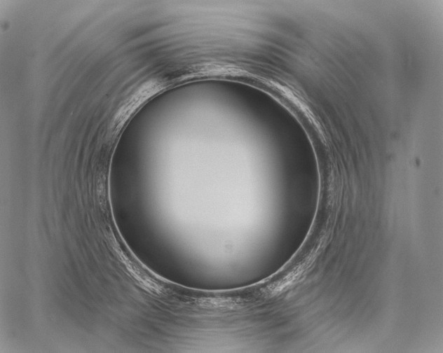 X0000059081281200510211532