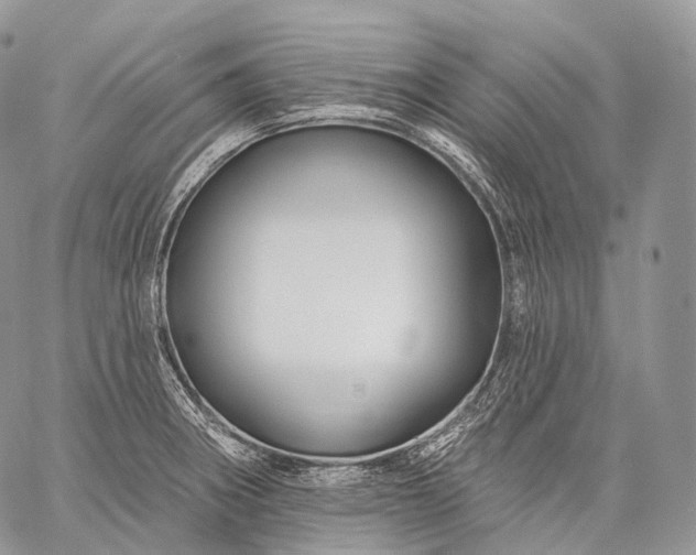 X0000059081282200510211532