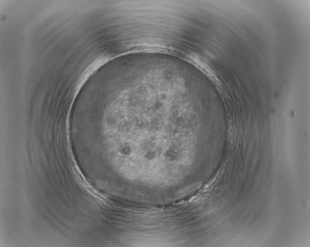 X0000059081283200510211532