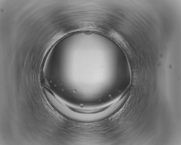 X0000059081284200510211532