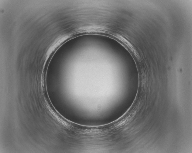 X0000059081285200510211532