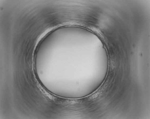 X0000059081286200510211532