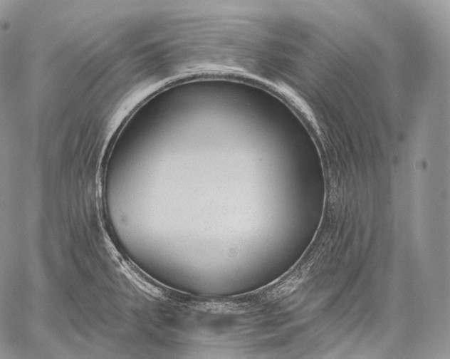 X0000059081287200510211532