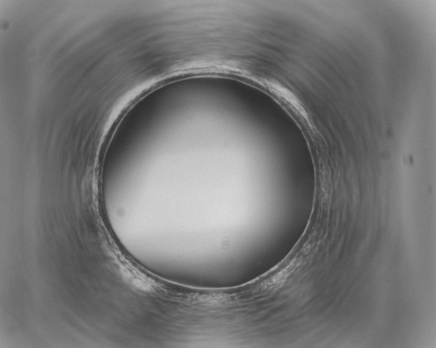 X0000059081288200510211532