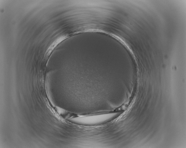 X0000059081289200510211532