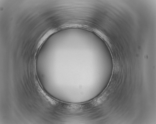 X0000059081290200510211532