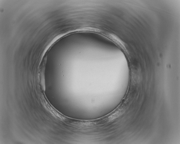 X0000059081292200510211532