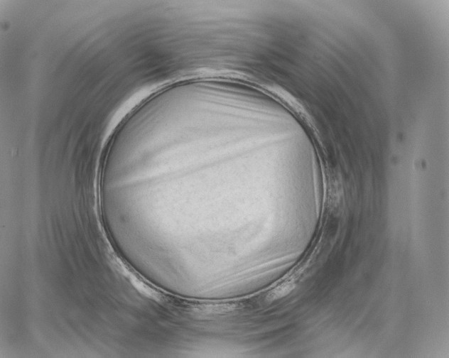 X0000059081294200510211532