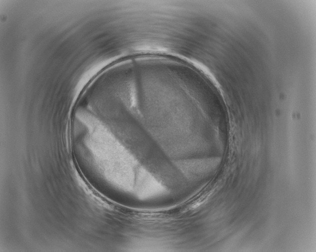 X0000059081295200510211532