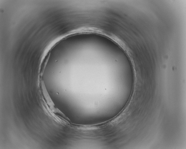 X0000059081296200510211532