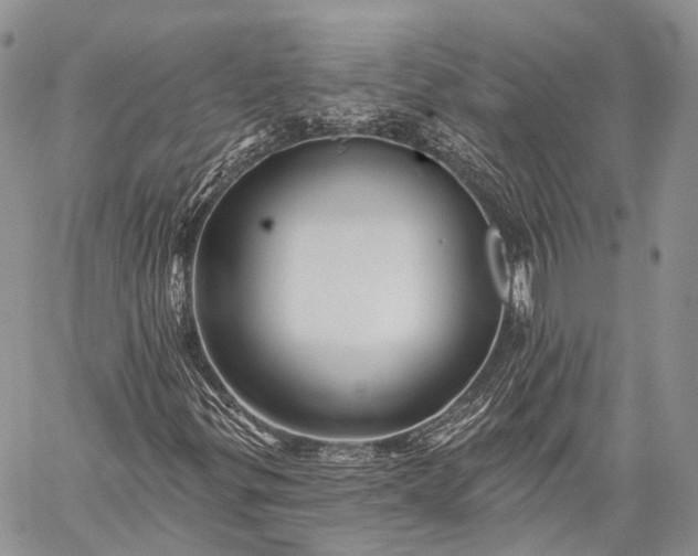 X0000059081299200510211532