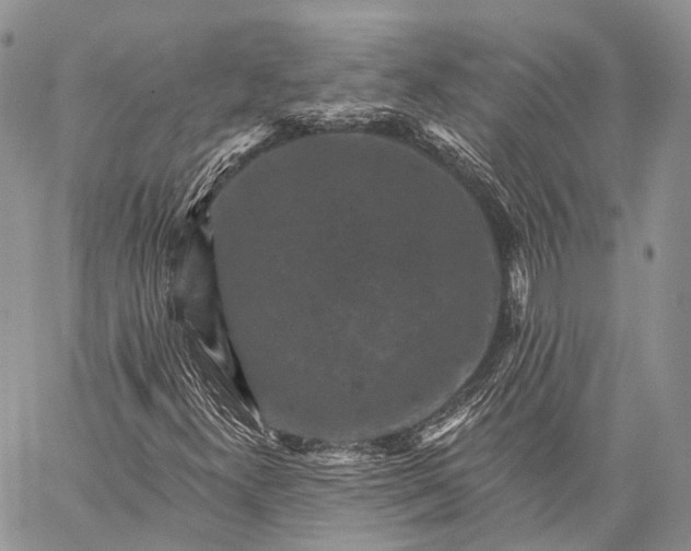 X0000059081300200510211532