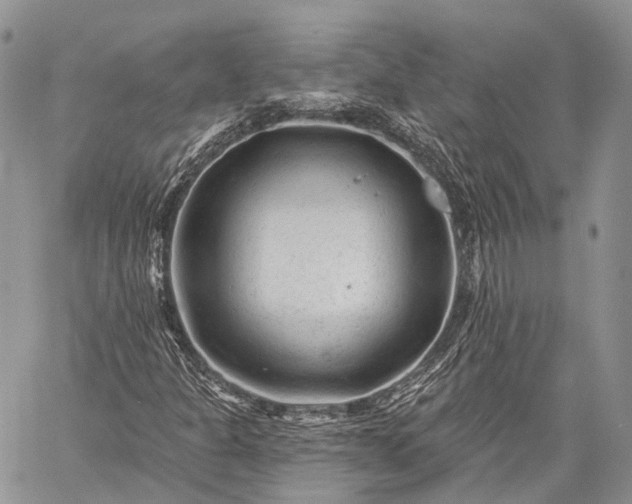 X0000059081301200510211532