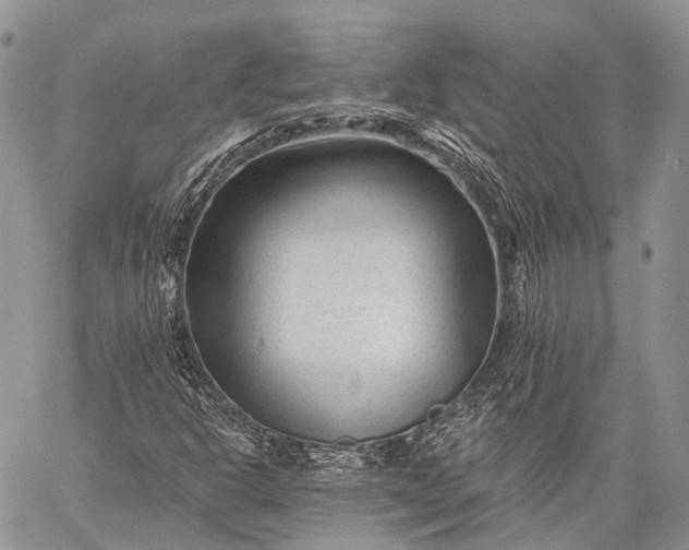 X0000059081302200510211532