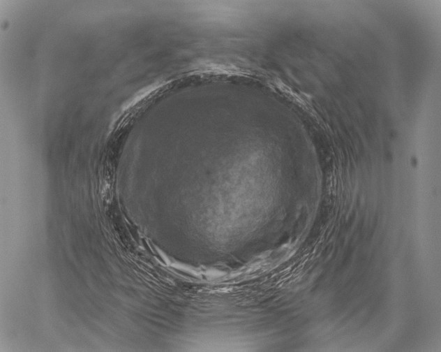 X0000059081303200510211532