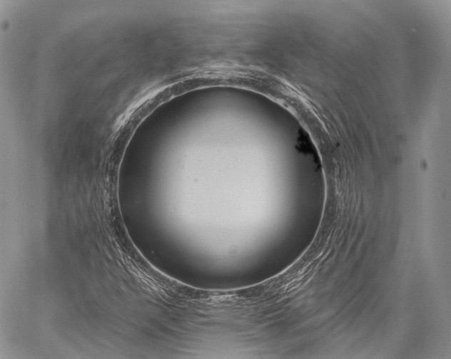 X0000059081304200510211532