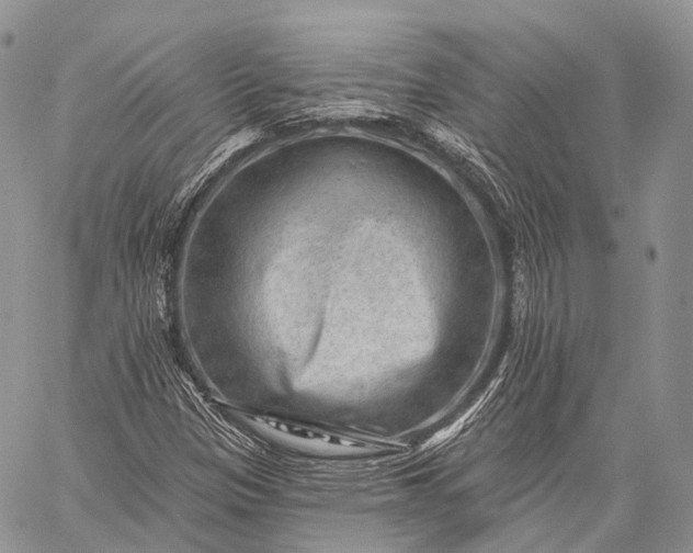 X0000059081305200510211532