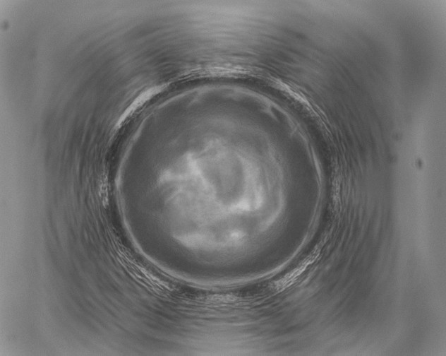 X0000059081306200510211532