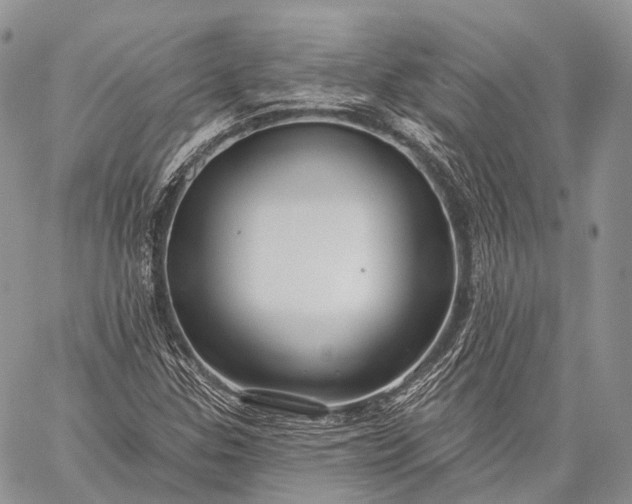 X0000059081307200510211532