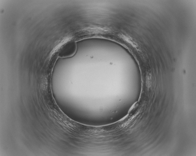 X0000059081309200510211532