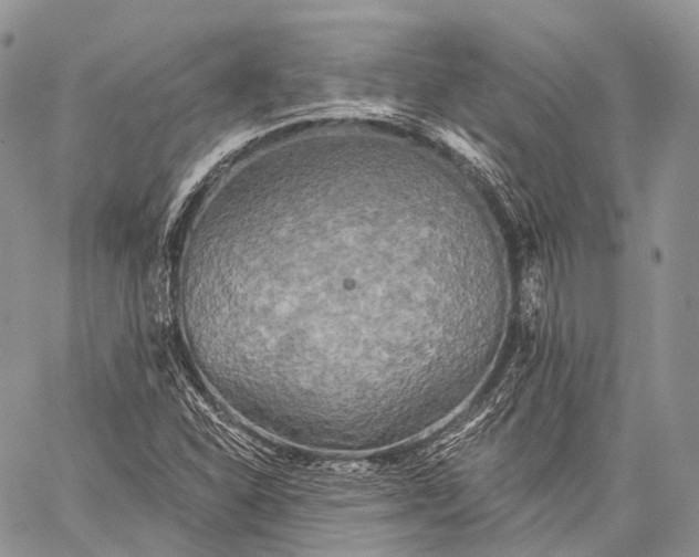 X0000059081310200510211532