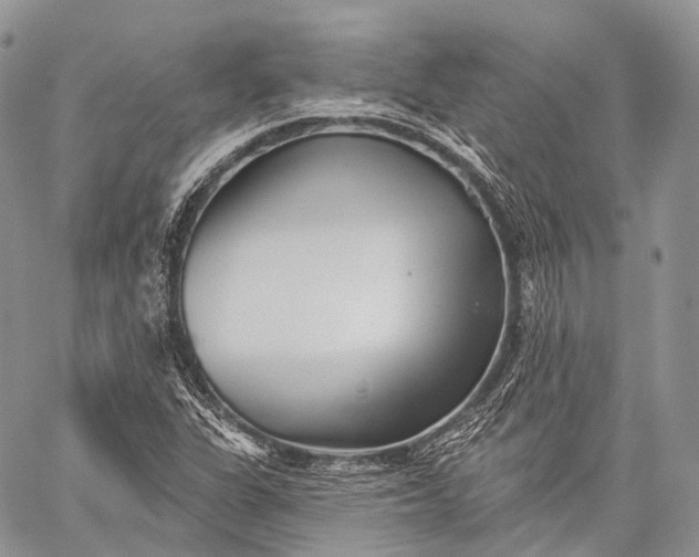 X0000059081311200510211532