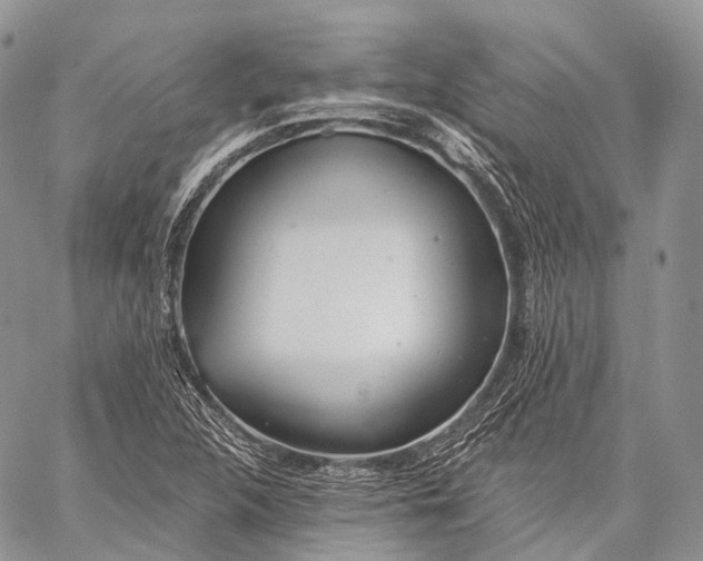 X0000059081312200510211532