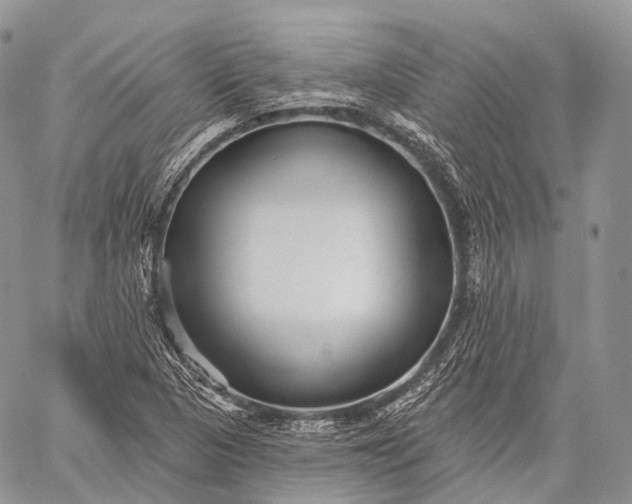 X0000059081313200510211532