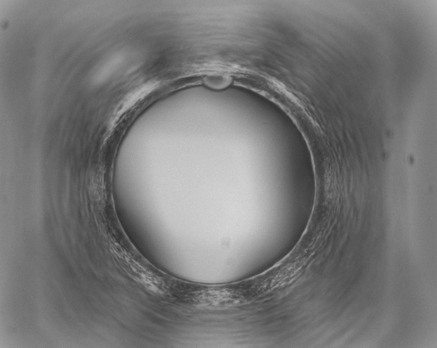 X0000059081315200510211532