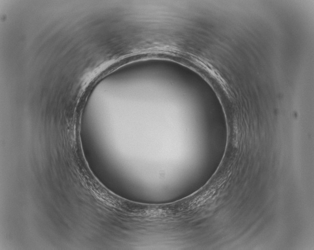 X0000059081316200510211532