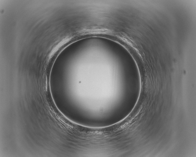 X0000059081317200510211532