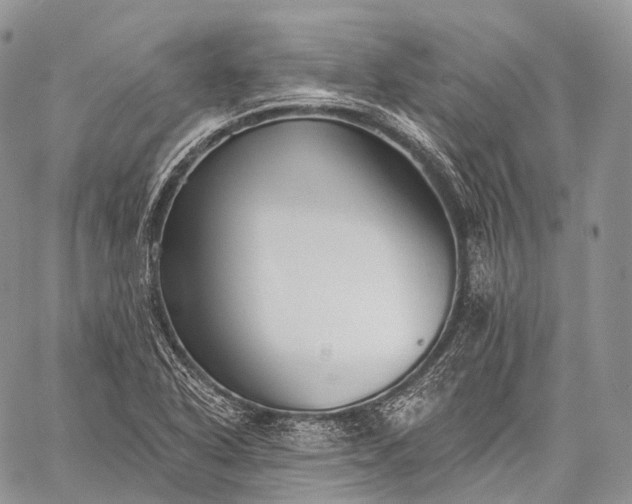 X0000059081318200510211532