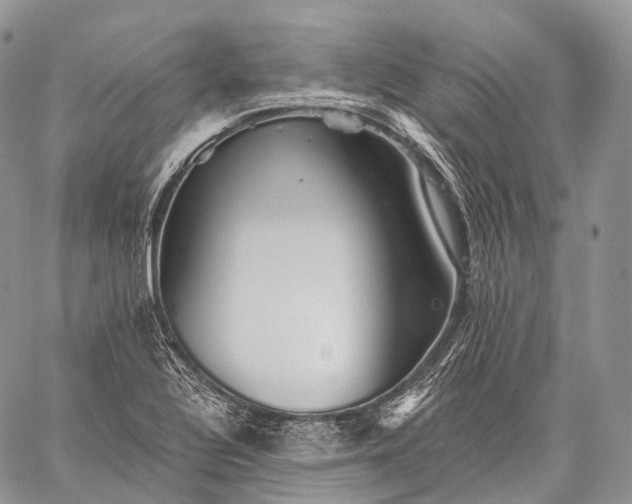 X0000059081320200510211532