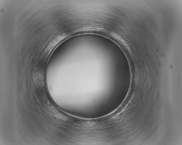 X0000059081321200510211532