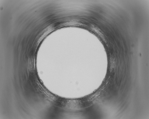 X0000059081322200510211532