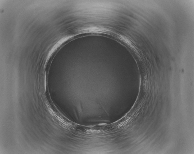 X0000059081323200510211532