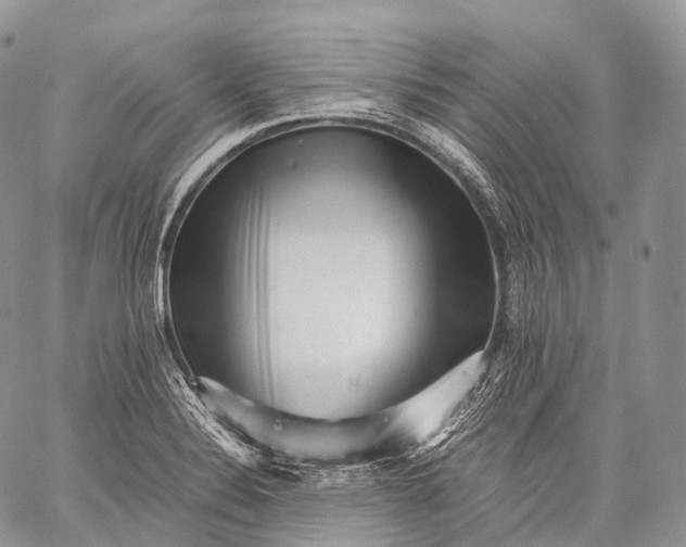 X0000059081324200510211532