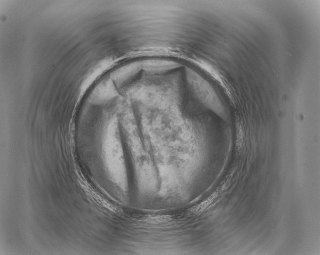 X0000059081325200510211532