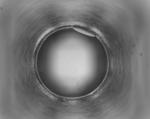 X0000059081326200510211532