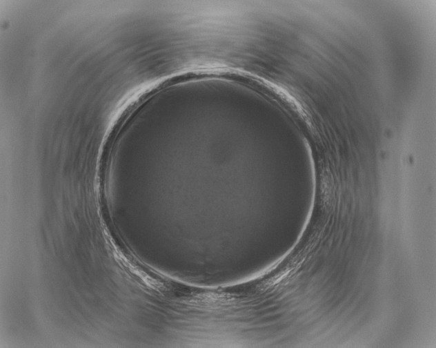 X0000059081327200510211532